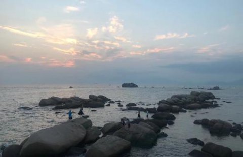 巨星国际股权激励：初创企业股权激励如何做？